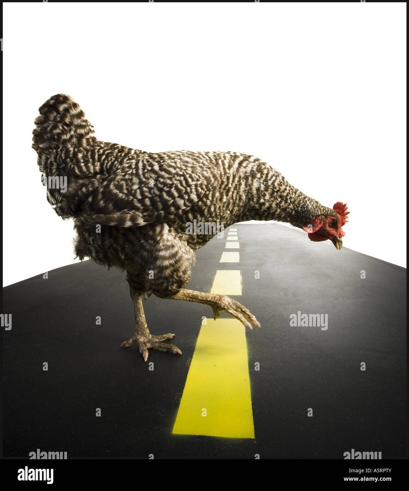 Houd Je Gokkastige Vinger An Op Chicken Road in Nederland Houd Je Gokkastige Vinger An Op Chicken Road in Nederland
