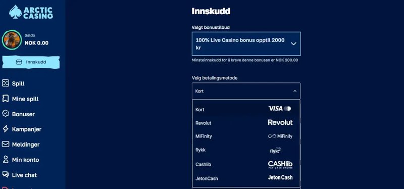 Kunnen Arctic Casino og Arctic Bet Casino forandre nettcasinolandskapet i Norge?